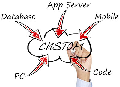 Custom Application Development